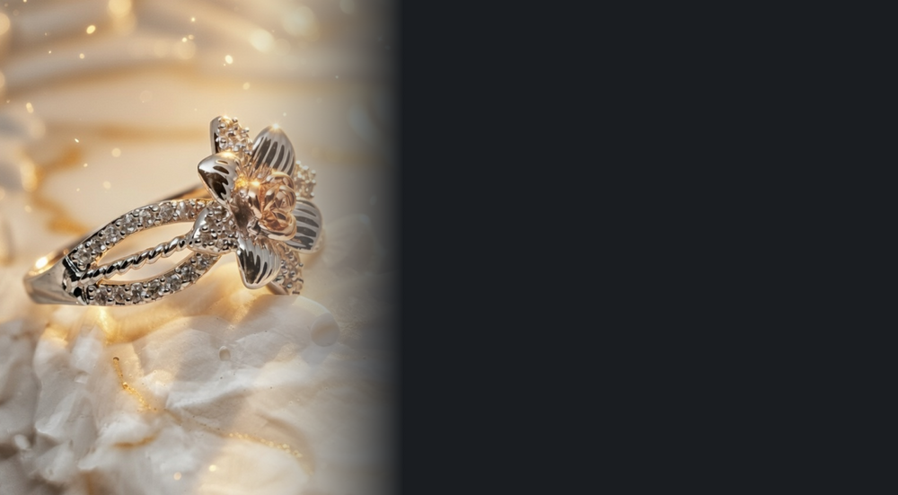 Zylva Newsletter Image